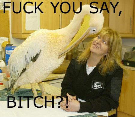 FUCK%20YOU%20SAY,%20BITCH.jpg